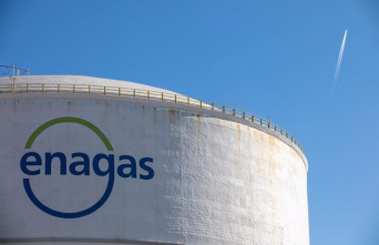 Enagás cuts its profits by 8.8% in 2023, to 342.5 million, but shattered its objectives for the year