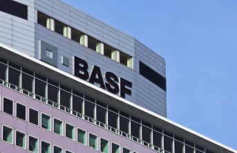 BASF announces an additional adjustment plan, including job cuts, after earning 225 million in 2023