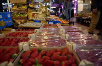 Brussels leaves it in the hands of Spain to take measures after Hepatitis A was detected in strawberries imported from Morocco