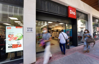 Dia Brasil presents request for judicial recovery after negative results and closure of 343 stores