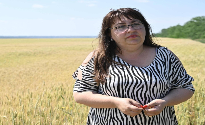 The despair of Ukrainian farmers held hostage to the grain blockade