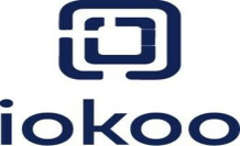 COMMUNICATION: iokoo: The revolutionary alliance of AI and human experience in solving computer problems