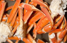 Mobilization to put local crab on the Quebec menu