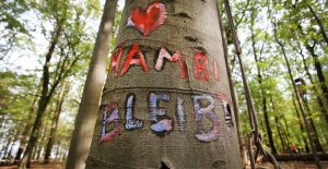 Brown coal mine Hambach: Hambi is not an island