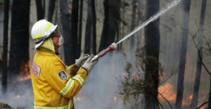 Bushfires in Australia: New heat wave intensified...