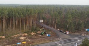 Deforestation in the state of Brandenburg stopped:...