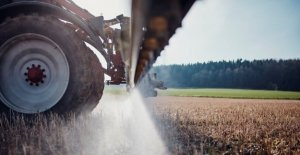 Minister for agriculture, food with pesticides: Klöckners...