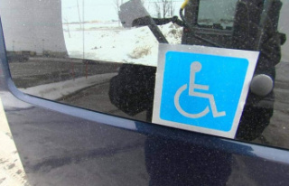 Adapted transport in Montreal: suppliers deplore Quebec's...