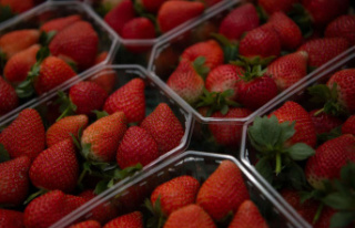 Hepatitis A cases linked to strawberries