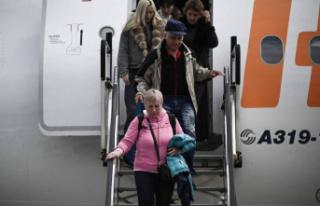 War in Ukraine: a charter flight of refugees expected...