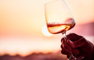 The 50 best rosés to taste this summer
