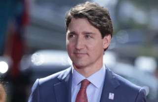 Zelensky and Trudeau talk about new Canadian military...