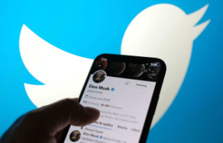 'Fake users' issue stalls Twitter takeover,...