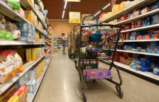 Online grocery store: Metro arrives on Instacart