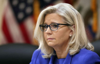 Liz Cheney, the Republican who dares to challenge...