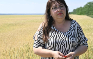 The despair of Ukrainian farmers held hostage to the...