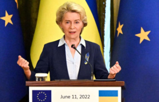 Entry of Ukraine into the European Union: a response...