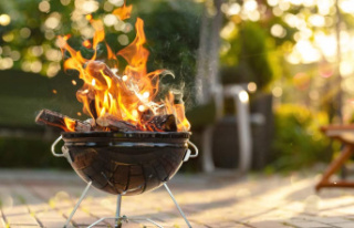 Plan your cooking on the BBQ