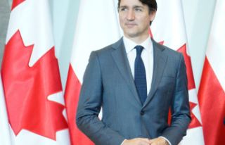 Is Justin Trudeau capable of leading the country?