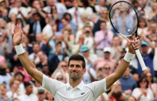 Djokovic in the second round at Wimbledon