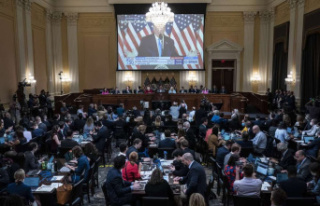 Parliamentary inquiry into Capitol assault: Trump...