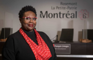 Montreal wants to modernize its Maisons de la culture