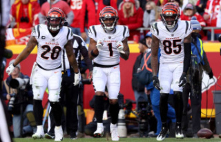The Bengals promise to impress