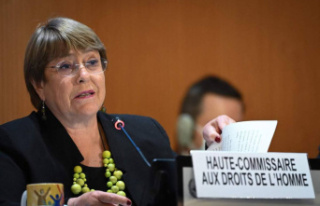 Human rights: Bachelet will not ask for a second mandate...