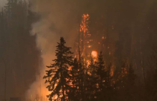 A forest fire in Parc National de Kuururjuaq