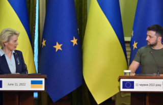 Von der Leyen in Kyiv to discuss Ukraine's European...