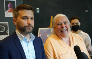 Why Québec solidaire is not taking off