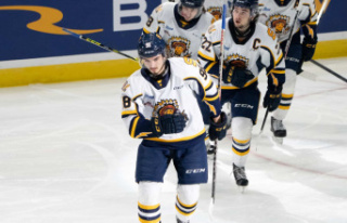 Memorial Cup: The Cataractes swear they learned their...