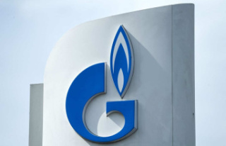 Russian giant Gazprom announces it has suspended gas...