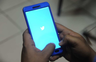 Twitter in court against the Indian government (media)
