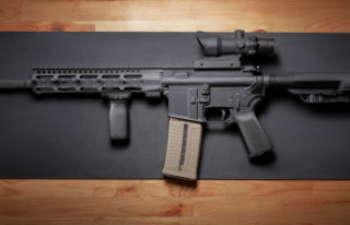 Ottawa offers $1,300 to buy back AR15 rifles