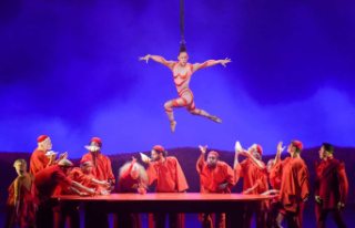 Cirque du Soleil: a show that will dazzle the divas!
