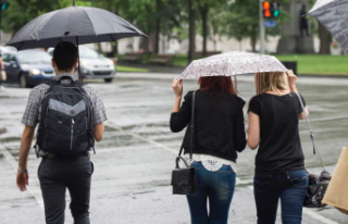 Weather of the day: a little rain to lower the Humidex
