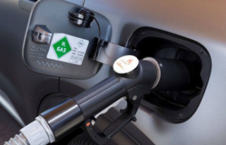 Green hydrogen: the government launches a call for...