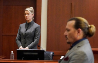 Johnny Depp case: a judge rejects the request for...