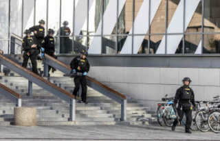 Shooting in Copenhagen: Alleged shooter has psychiatric...