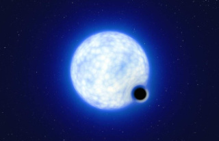 Discovery of a 'dormant' stellar-mass black...