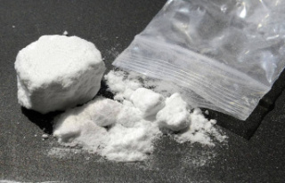 Drug trafficking linked to organized crime: 12 suspects...