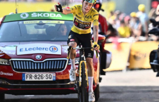 Tour de France: Jonas Vingegaard very close to victory