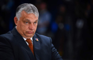 Orban and the Hungarian “race”: the Auschwitz...