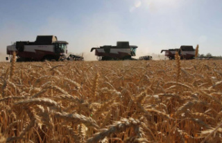 G20: Blinken calls on Russia to 'let the grain...