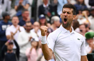 Novak Djokovic will draw on his resources and advance...