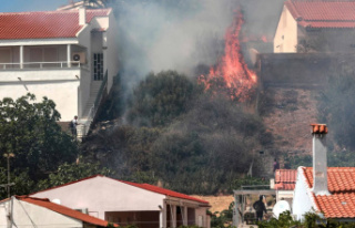 Greece, hit by a heat wave, fights forest fires