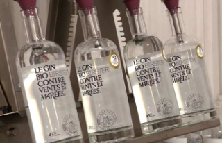 A Quebec gin shines internationally