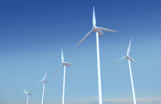 Hydro will have to choose between twenty wind projects