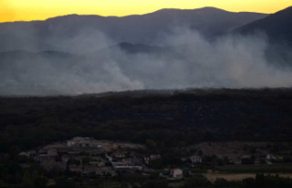 A fire ravages nearly 1000 hectares in France